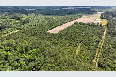 1680 George Il Highway SE, Bolivia, NC 28422 - Photo 3