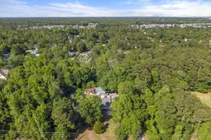 981 Sloop Point Loop Rd, Hampstead, NC 28443 - Photo 57