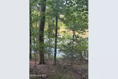 L5 Bl65 Overlook Point, McCormick, SC 29835 - Photo 1