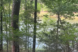 L5 Bl65 Overlook Point, McCormick, SC 29835 - Photo 1