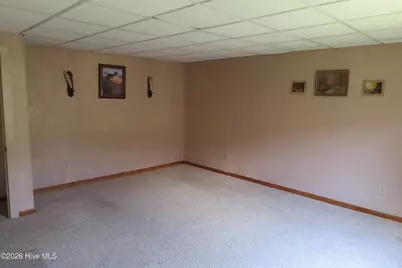 17038 E Nc 55 Highway, Bayboro, NC 28515 - Photo 23
