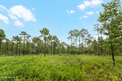 Tract 1 Hwy 17 Off, Hampstead, NC 28443 - Photo 19