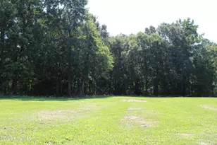 108 Country Farm Ln, Beulaville, NC 28518 - Photo 19