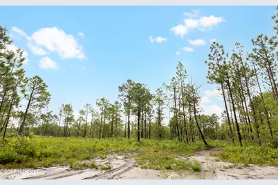 Tract  3 Hwy 17 Off, Hampstead, NC 28443 - Photo 21
