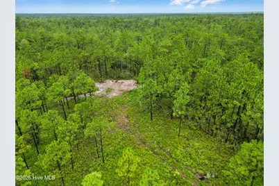 Tract  3 Hwy 17 Off, Hampstead, NC 28443 - Photo 5