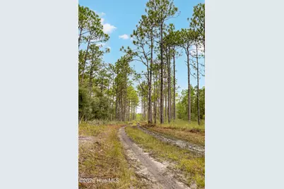 Tract  3 Hwy 17 Off, Hampstead, NC 28443 - Photo 25