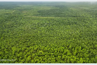 Tract  4 Hwy 17 Off, Hampstead, NC 28443 - Photo 13