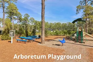 170 Broom Sedge Ln, Southern Pines, NC 28387 - Photo 61