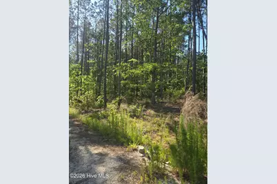 1048 Serenity Pointe Drive, Lincolnton, GA 30817 - Photo 5