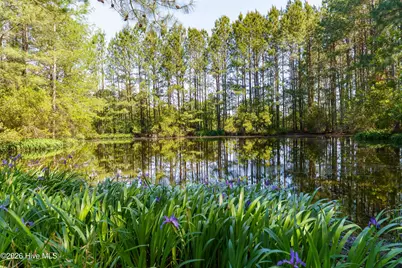 235 Griffin Lake Road, Vass, NC 28394 - Photo 41