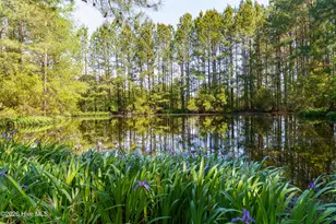 235 Griffin Lake Rd, Vass, NC 28394 - Photo 41