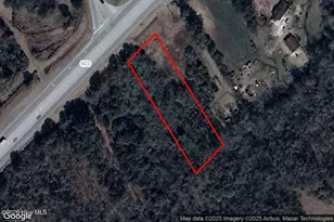 1515 S Kenansville Bypass, Magnolia, NC 28453 - Photo 1