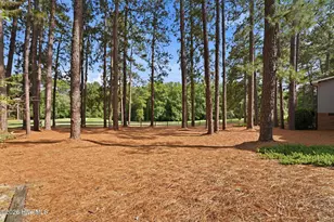 116 Oxford Ct, Seven Lakes, NC 27376 - Photo 51