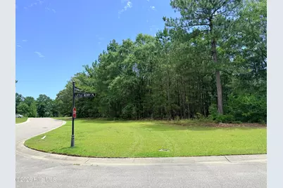 3702 Little Berry Place NE, Leland, NC 28451 - Photo 1