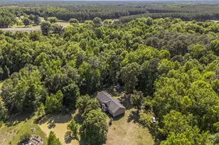 431 Bonnie Ave, Smithfield, NC 27577 - Photo 39
