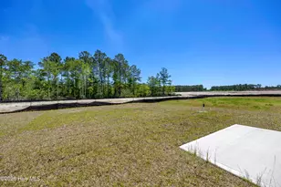 1095 Hanson Dr, Leland, NC 28451 - Photo 27