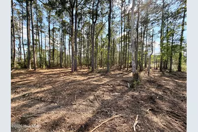 0 Seaview Court, Bath, NC 27808 - Photo 13