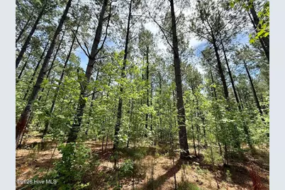0 Skeeter Pond Road, Grifton, NC 28530 - Photo 23