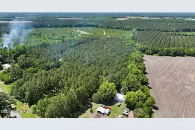 0 Skeeter Pond Road, Grifton, NC 28530 - Photo 15