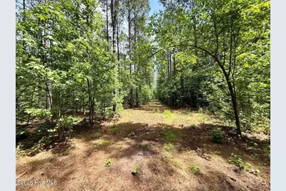 0 Skeeter Pond Road, Grifton, NC 28530 - Photo 53
