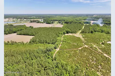 0 Skeeter Pond Road, Grifton, NC 28530 - Photo 9