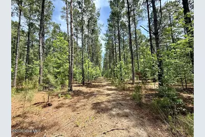 0 Skeeter Pond Road, Grifton, NC 28530 - Photo 55