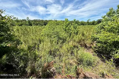 0 Skeeter Pond Road, Grifton, NC 28530 - Photo 49