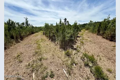 0 Skeeter Pond Road, Grifton, NC 28530 - Photo 47