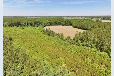 0 Skeeter Pond Road, Grifton, NC 28530 - Photo 7