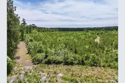 0 Skeeter Pond Road, Grifton, NC 28530 - Photo 27