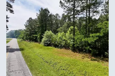 0 Skeeter Pond Road, Grifton, NC 28530 - Photo 19
