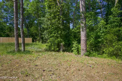 381 James Street, Vass, NC 28394 - Photo 41