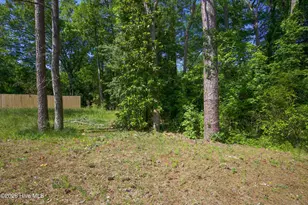 381 James St, Vass, NC 28394 - Photo 41