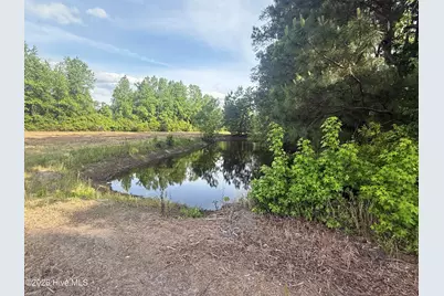 12155 Carolina 41, Bladenboro, NC 28320 - Photo 3