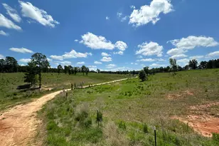 4791 Old Waynesboro Rd, Hephzibah, GA 30815 - Photo 33