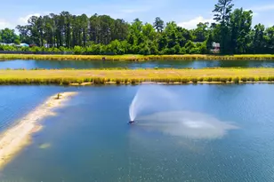 441 Tributary Cir, Wilmington, NC 28401 - Photo 37