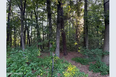 Lot 7 Boyd Park Drive, Greenville, NC 27858 - Photo 1