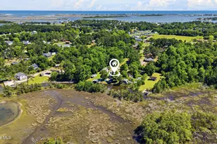 141 Sherrill Loop Rd, Sneads Ferry, NC 28460 - Photo 55
