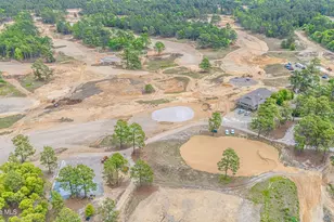 224 Old Course Rd, Aberdeen, NC 28315 - Photo 53