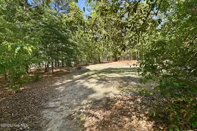 244 Firetree Lane, Seven Lakes, NC 27376 - Photo 49