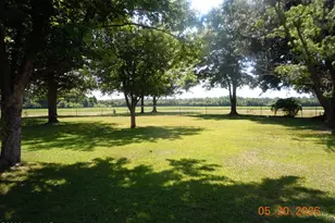 1946 Jasmine Rd, Loris, SC 29569 - Photo 75