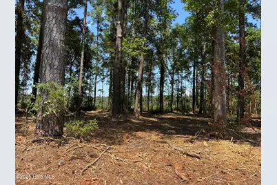 Lot 6 Near 4102 Swamp Fox Highway W, Tabor City, NC 28463 - Photo 1
