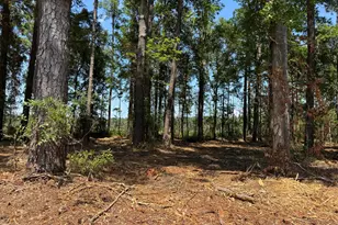 Lot 6 Near 4102 Swamp Fox Hwy W, Tabor City, NC 28463 - Photo 1