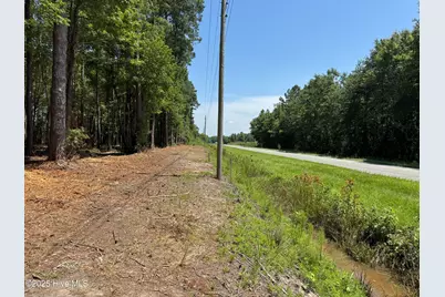 Lot 6 Near 4102 Swamp Fox Highway W, Tabor City, NC 28463 - Photo 5