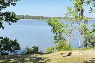 126 Ridge Rd, Chocowinity, NC 27817 - Photo 5
