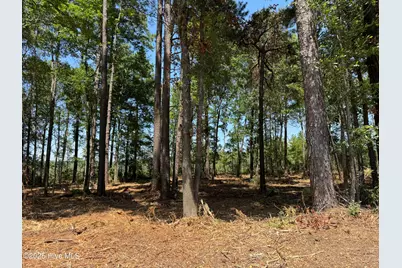 Lot 5 Near 4102 Swamp Fox (Lot 5) Highway W, Tabor City, NC 28463 - Photo 1