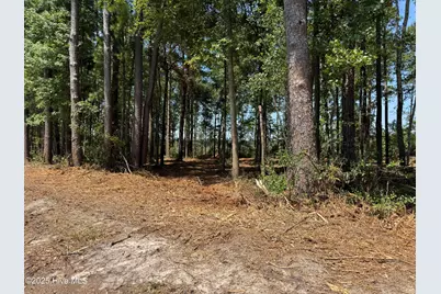 Lot 5 Near 4102 Swamp Fox (Lot 5) Highway W, Tabor City, NC 28463 - Photo 5