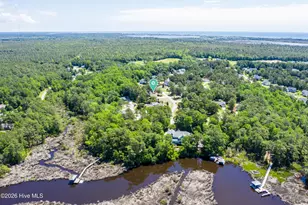 228 Egret Point Dr, Sneads Ferry, NC 28460 - Photo 59