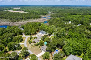228 Egret Point Dr, Sneads Ferry, NC 28460 - Photo 53
