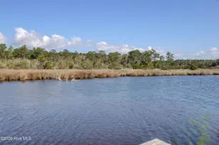 228 Egret Point Dr, Sneads Ferry, NC 28460 - Photo 69